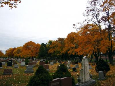 1009/IMG00391028.jpg