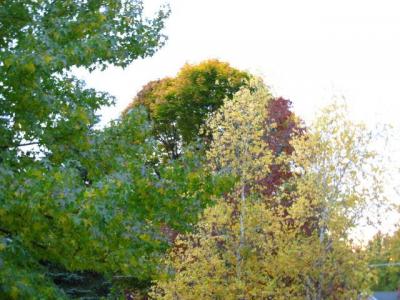 1009/IMG00461021.jpg