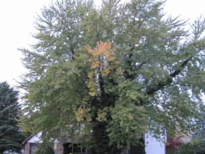 1009/IMG00511021.jpg