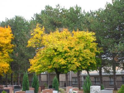 1009/IMG00521028.jpg