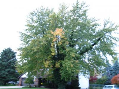 1009/IMG00531021.jpg