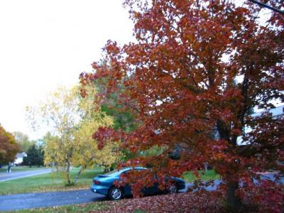 1009/IMG00701021.jpg
