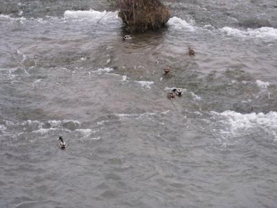 1109/IMG01381112.jpg 1109/IMG01381112.jpg