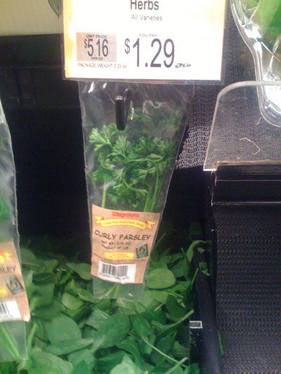 0308/LikeFourDamnSprigsOfParsley0322.jpg 0308/LikeFourDamnSprigsOfParsley0322.jpg