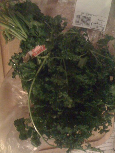 0308/OneMetricShitTonOfParsley0322.jpg 0308/OneMetricShitTonOfParsley0322.jpg