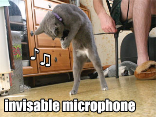 0807/InvisableMicrophone0813.jpg