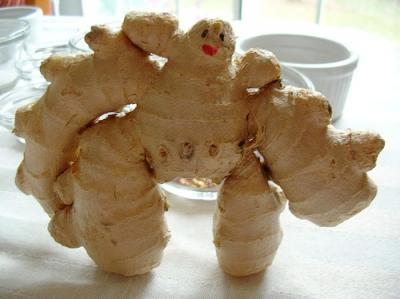 1206/ginger3951.jpg