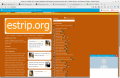 estrip.org___Buffalo__NY_s_Original_Neighborhood_Blogging_Community__estrip_v8.0____Buffalo_Blogs_in_the_Elmwood_Village___Mozilla_Firefox_002.png