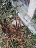 20120318_114902.jpg