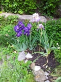 20120522_103542.jpg