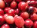 Cranberries1122.jpg