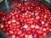WashingCranberries1122.jpg
