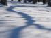 SnowShadow10303.jpg