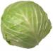 Cabbage0110.jpg