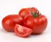 Tomatoes0110.jpg