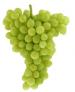 Grapes0207.jpg