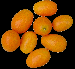 Kumquat20328.gif