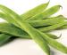 Greenbeans0404.jpg