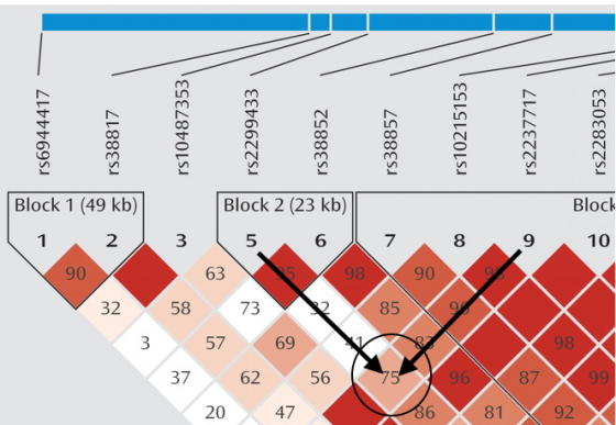 https://estrip.org/content/users/tinypliny/0814/reading_LD_blocks.png